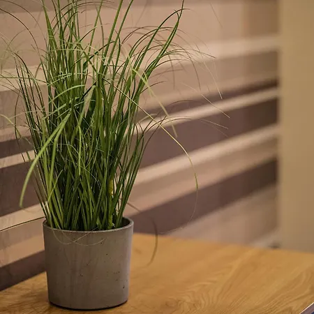 Apartament Kelemen Segedyn