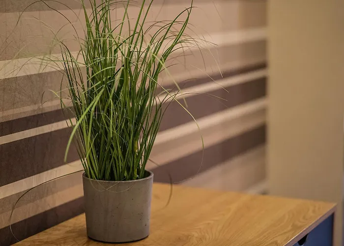 Apartmán Kelemen Segedín